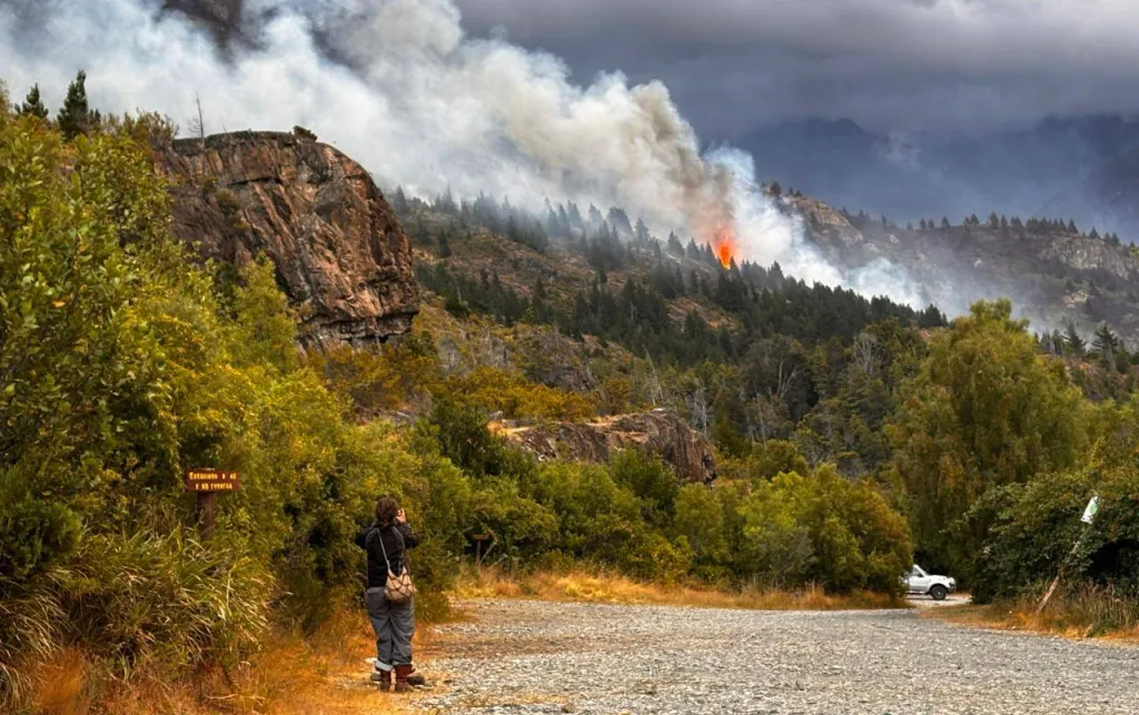 A forest burning as a wildfire rages through it