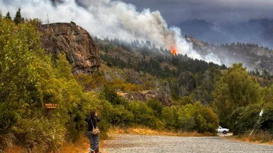 A forest burning as a wildfire rages through it